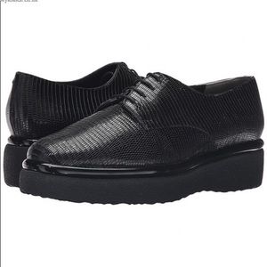 Robert Clergerie Fadio Black Leather Oxfords